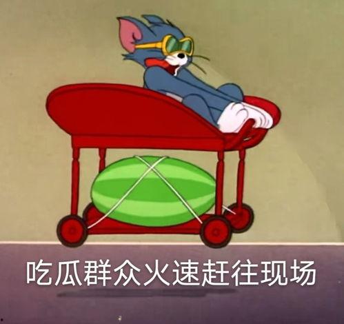 吃瓜爆料 吃官司,娱乐圈风云再起，明星涉嫌吃官司引热议