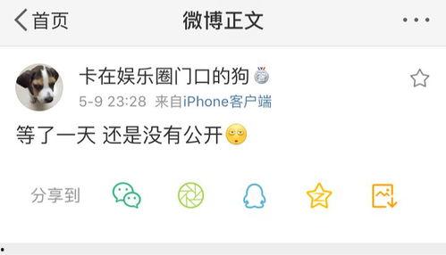 全网吃瓜爆料号