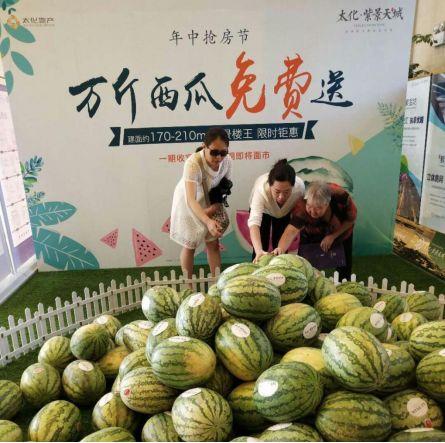 千城吃瓜爆料群,揭秘网络社交背后的秘密与趣味