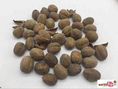 吃瓜爆料小巴豆视频